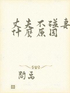 丈夫不碰妻子是什么原因