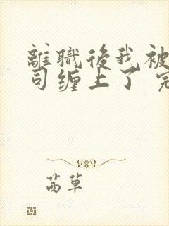 离职后我被前上司缠上了 完结版