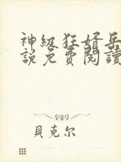 神级狂婿岳风小说免费阅读封面