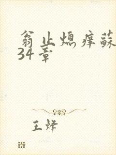 翁止熄痒苏钥第34章封面
