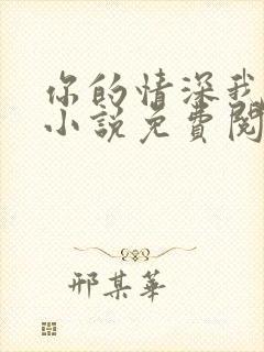 你的情深我不配小说免费阅读全文