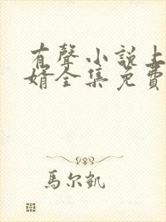 有声小说上门龙婿全集免费听封面