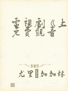 电视剧《上嫁》免费观看