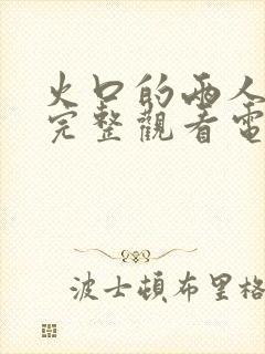 火口的两人免费完整观看电影封面