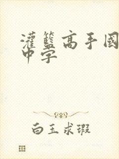 灌篮高手国语版中字