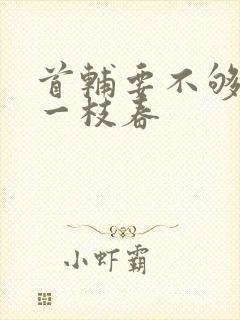 首辅要不够po一枝春