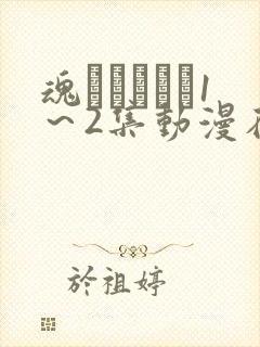 魂インサート1～2集动漫在线观看