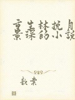 重生林挽月和顾景琛的小说