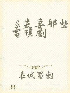 《夫妻那些事》电视剧