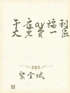 午夜av福利粗大免费一区封面