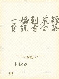 一婚到底短剧免费观看全集高清封面