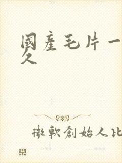 国产毛片一区久久