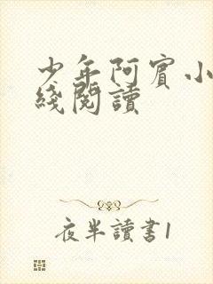 少年阿宾小说在线阅读