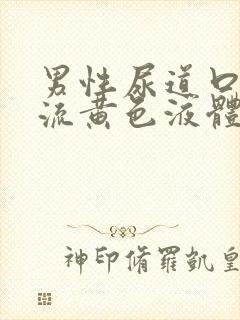 男性尿道口感染流黄色液体