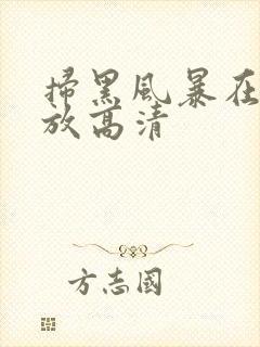 扫黑风暴在线播放高清