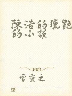 陈浩的猎艳人生的小说