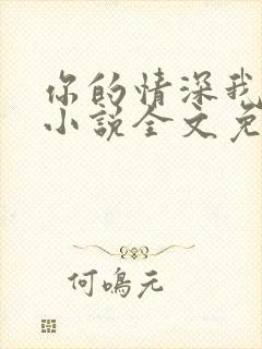 你的情深我不配小说全文免费阅读