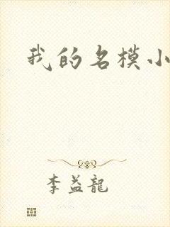 我的名模小娇妻