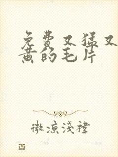 免费又猛又爽又黄的毛片封面