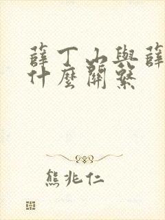 薛丁山与薛仁贵什么关系封面