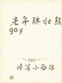 老年胖壮熊同性gay封面