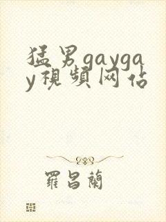 猛男gaygay视频网站封面