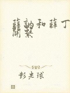 薛讷和薛丁山的关系