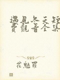 遇见冬天短剧免费观看全集高清