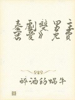 泰剧双男主《秘密爱》免费观看