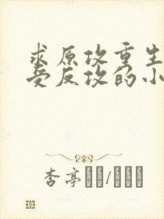 求原攻重生被原受反攻的小说