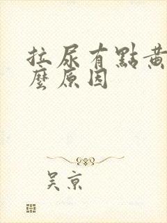 拉尿有点黄是什么原因