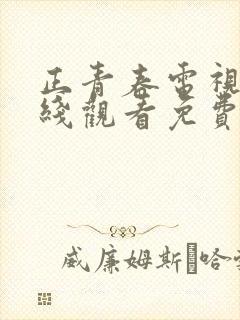 正青春电视剧在线观看免费