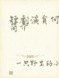 短剧演员何连飞简介