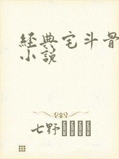 经典宅斗骨灰级小说