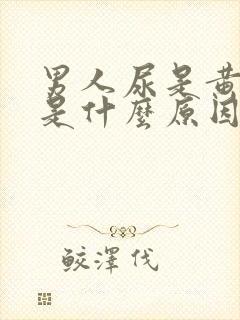 男人尿是黄色的是什么原因