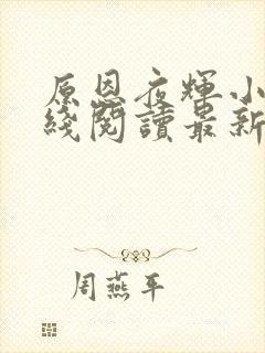 原恩夜辉小说在线阅读最新章节