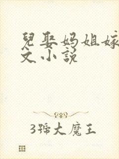 儿娶妈姐嫁爸正文小说