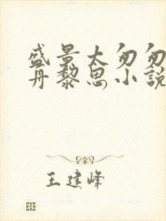 盛景太匆匆沈砚舟黎思小说