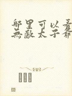 哪里可以看全集无敌太子爷短剧