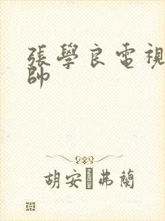 张学良电视剧少帅