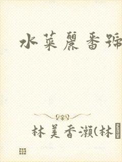 水菜丽番号合集