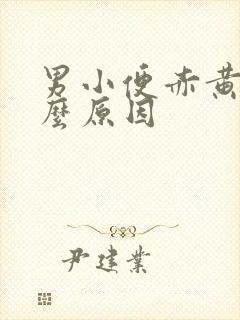 男小便赤黄是什么原因