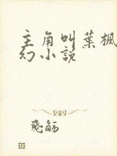 主角叫叶枫的玄幻小说