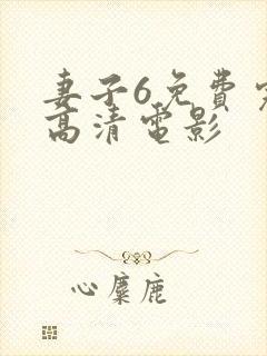 妻子6免费完整高清电影