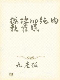 总攻np纯肉调教催眠