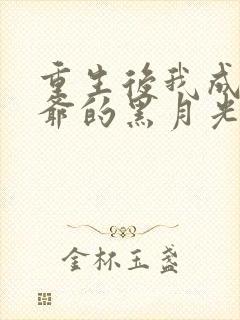 重生后我成了王爷的黑月光完本封面