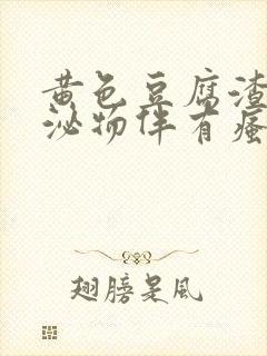 黄色豆腐渣样分泌物伴有瘙痒