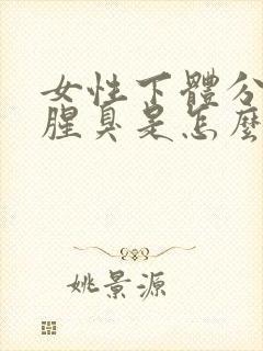 女性下体分泌物腥臭是怎么回事啊