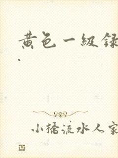 黄色一级录像片.封面