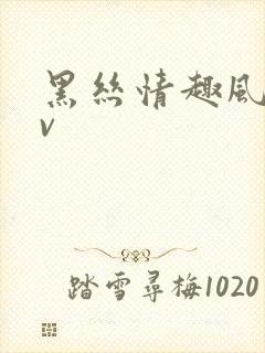 黑丝情趣风骚av